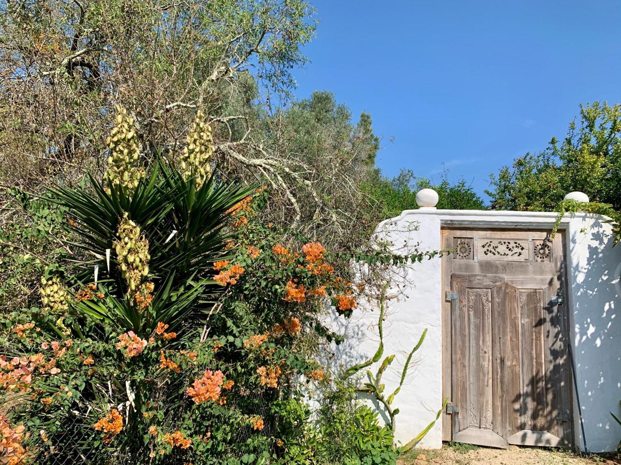 Casa Stardust & Villa *
