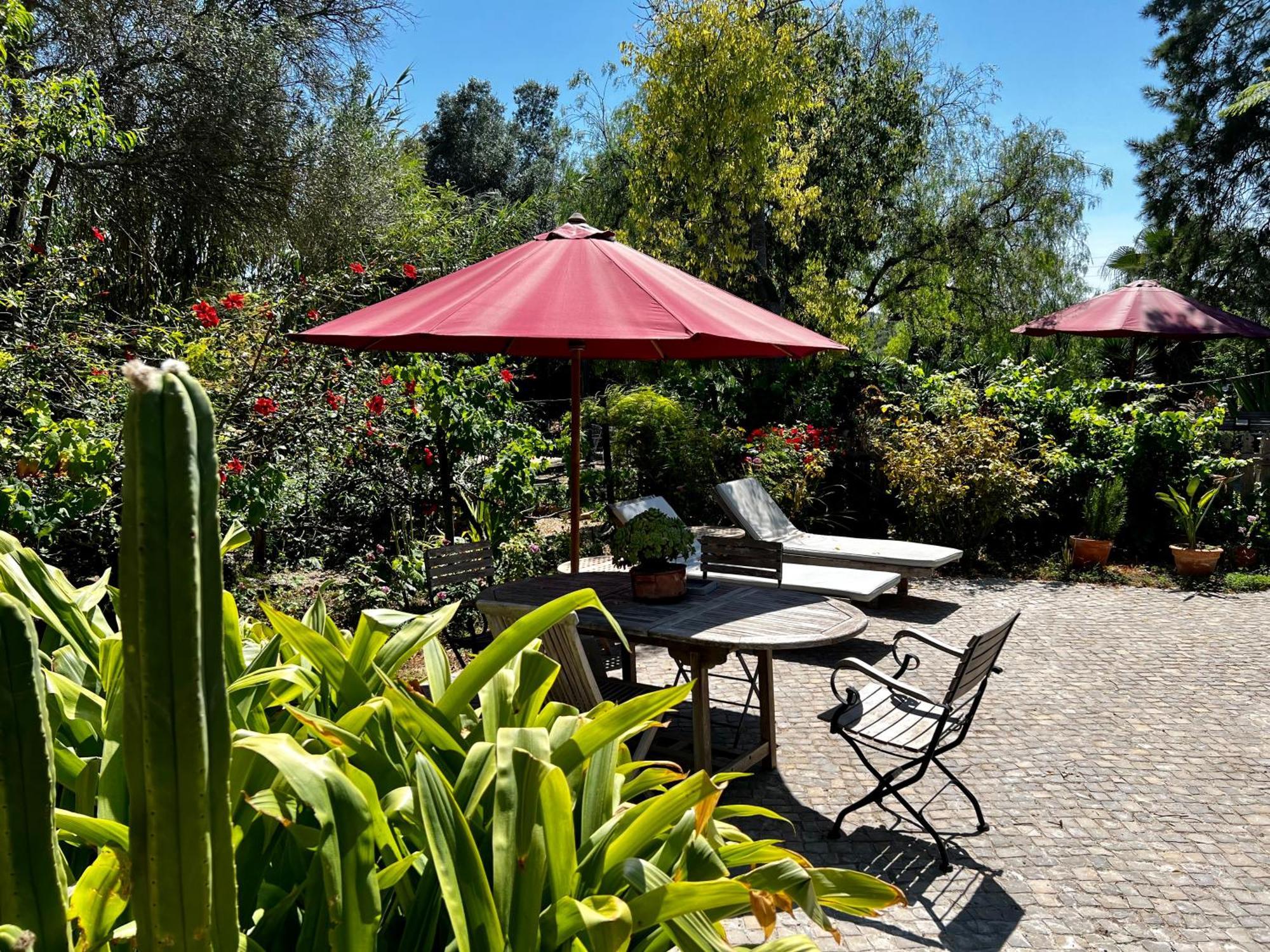 Casa Stardust & Quelfes