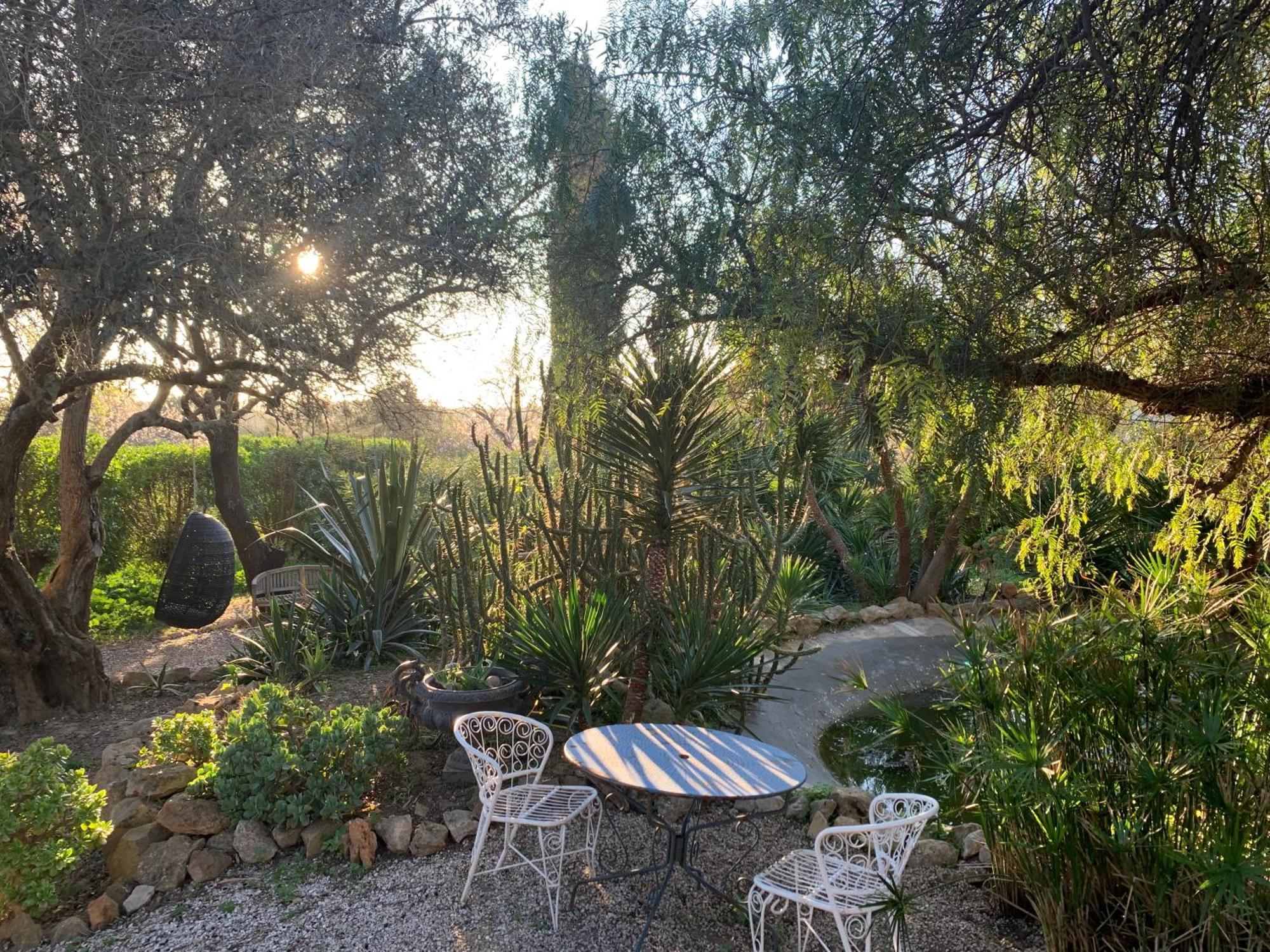 Casa Stardust & Quelfes