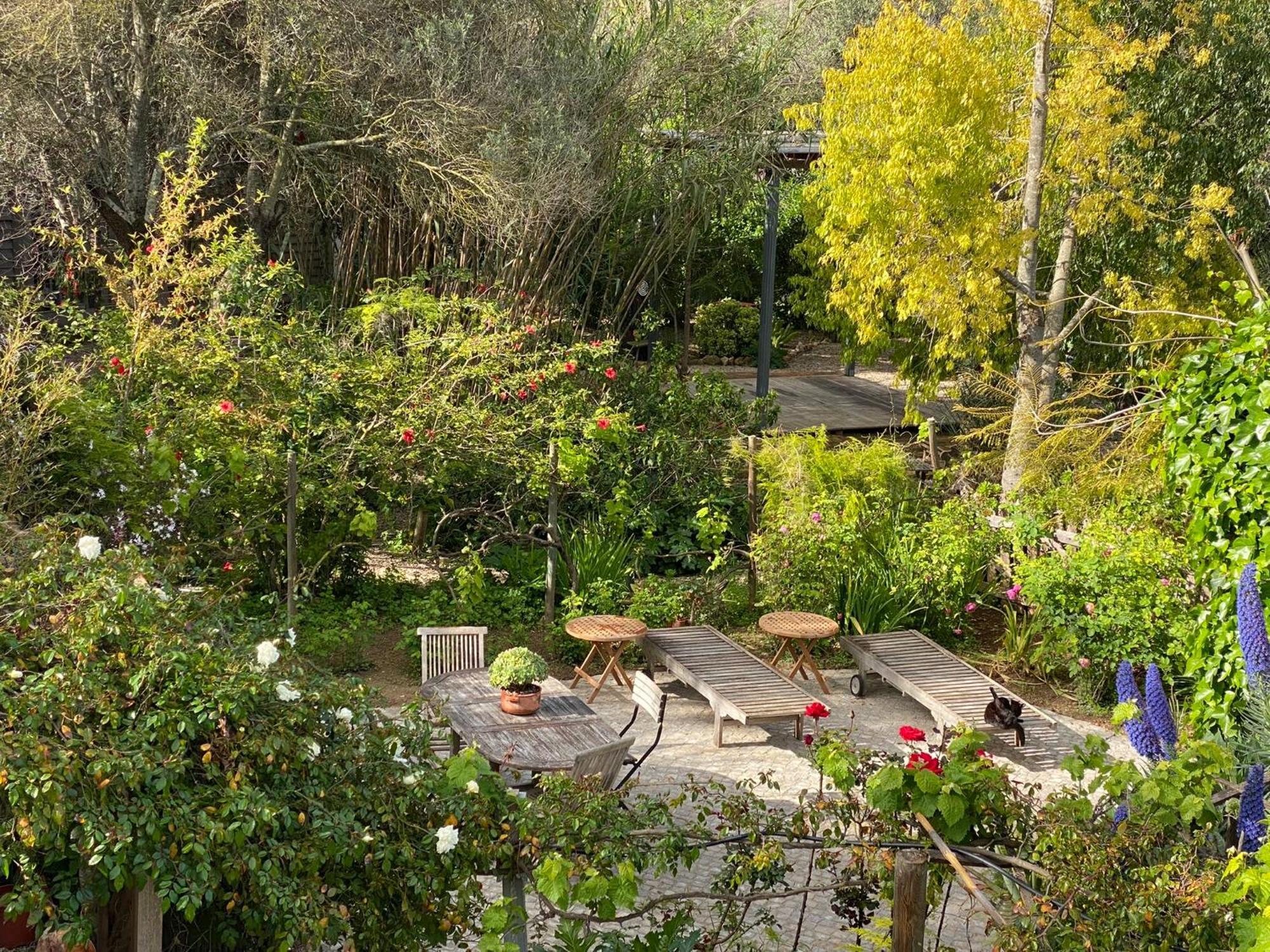 Casa Stardust & * Quelfes