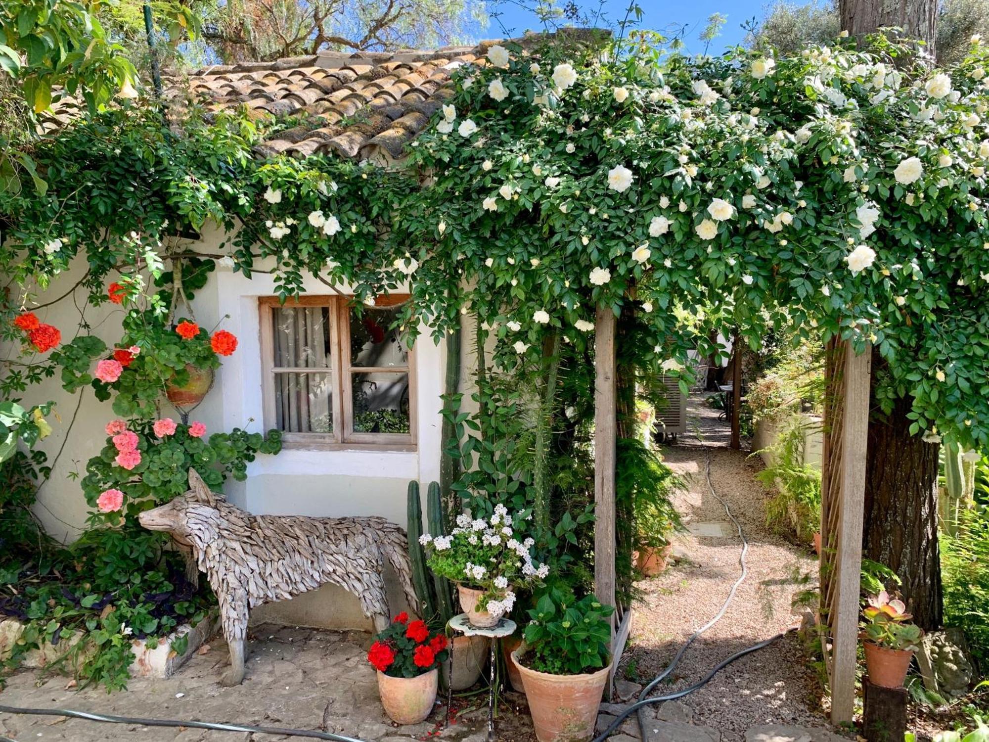Casa Stardust & * Quelfes