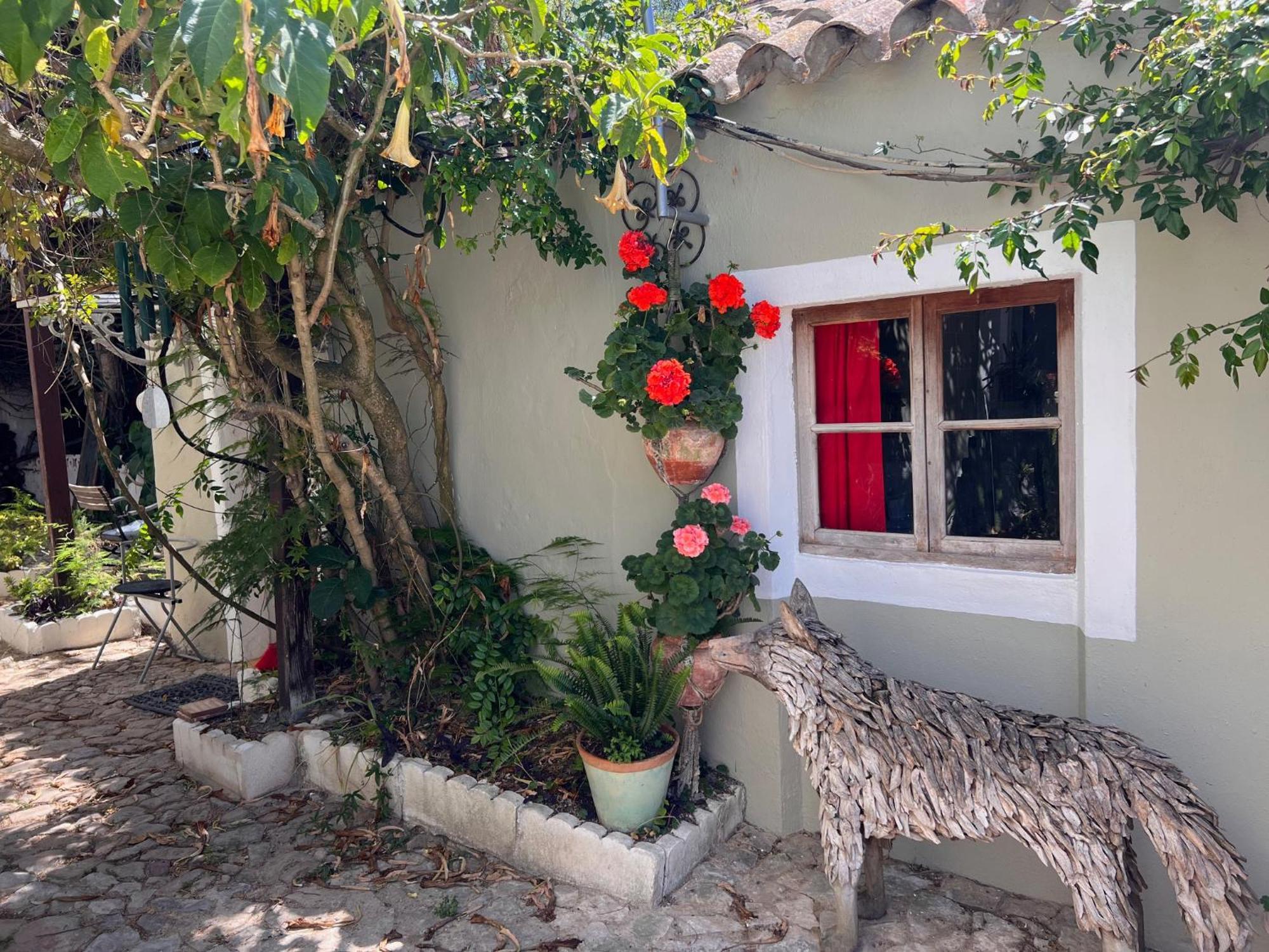 Casa Stardust & Villa *