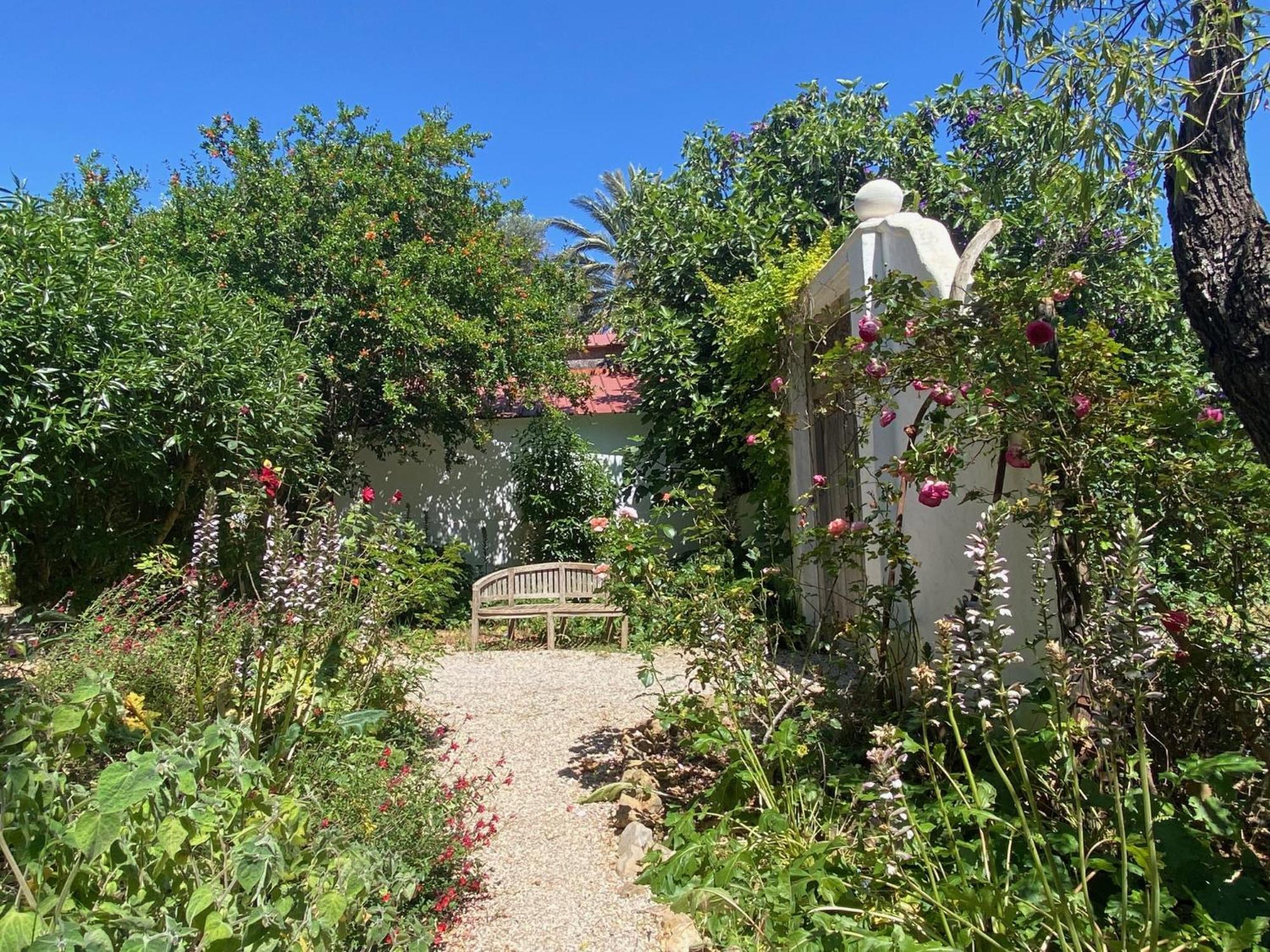 Casa Stardust & Villa *