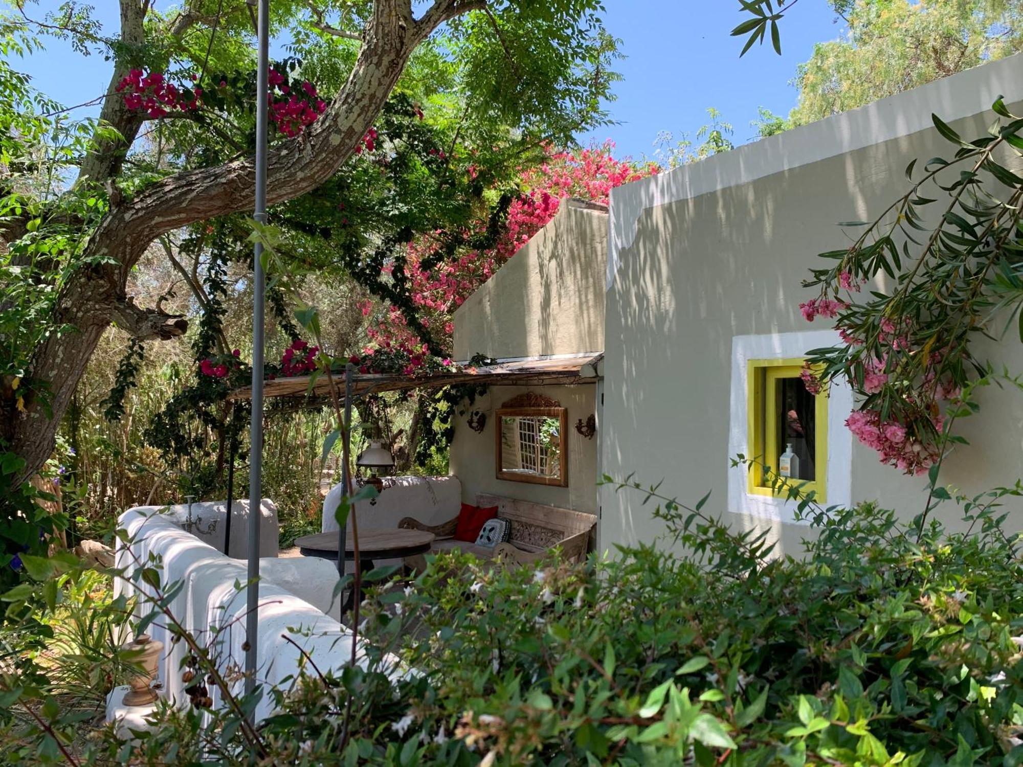 Casa Stardust & Villa